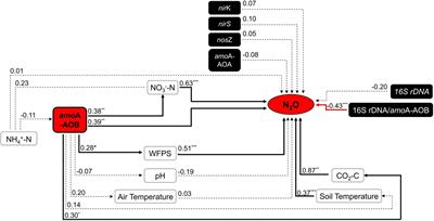 Nitrosospira sp. Govern Nitrous Oxide Emissions in a Tropical Soil Amended With Residues of Bioenergy Crop